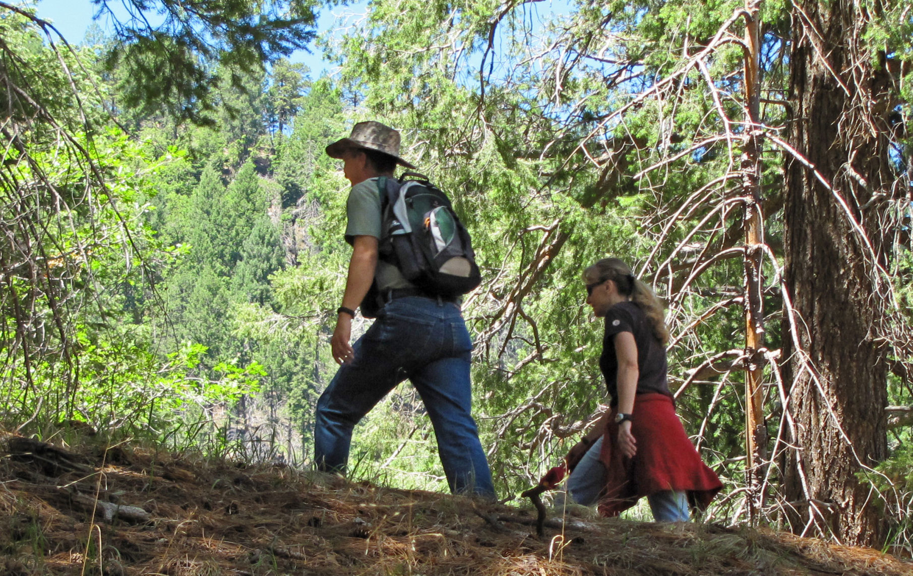 Top trails: Butterfly Trail